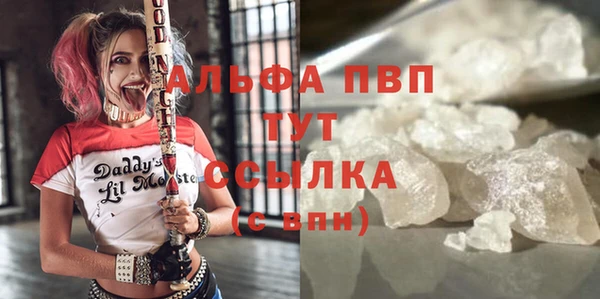 прущие грибы Нязепетровск